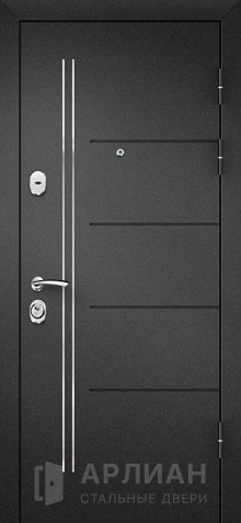 Фото «Металлическая дверь премиум с напылением и молдингом №11»